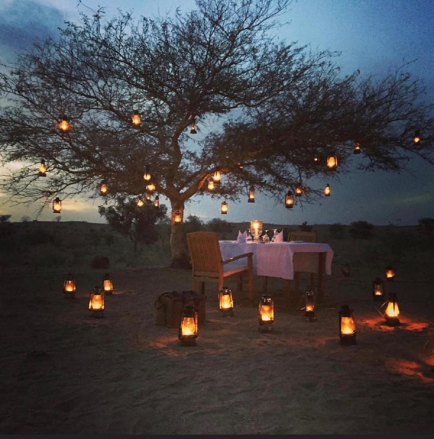 Wild Heritage Resort & Camp Jaisalmer Esterno foto